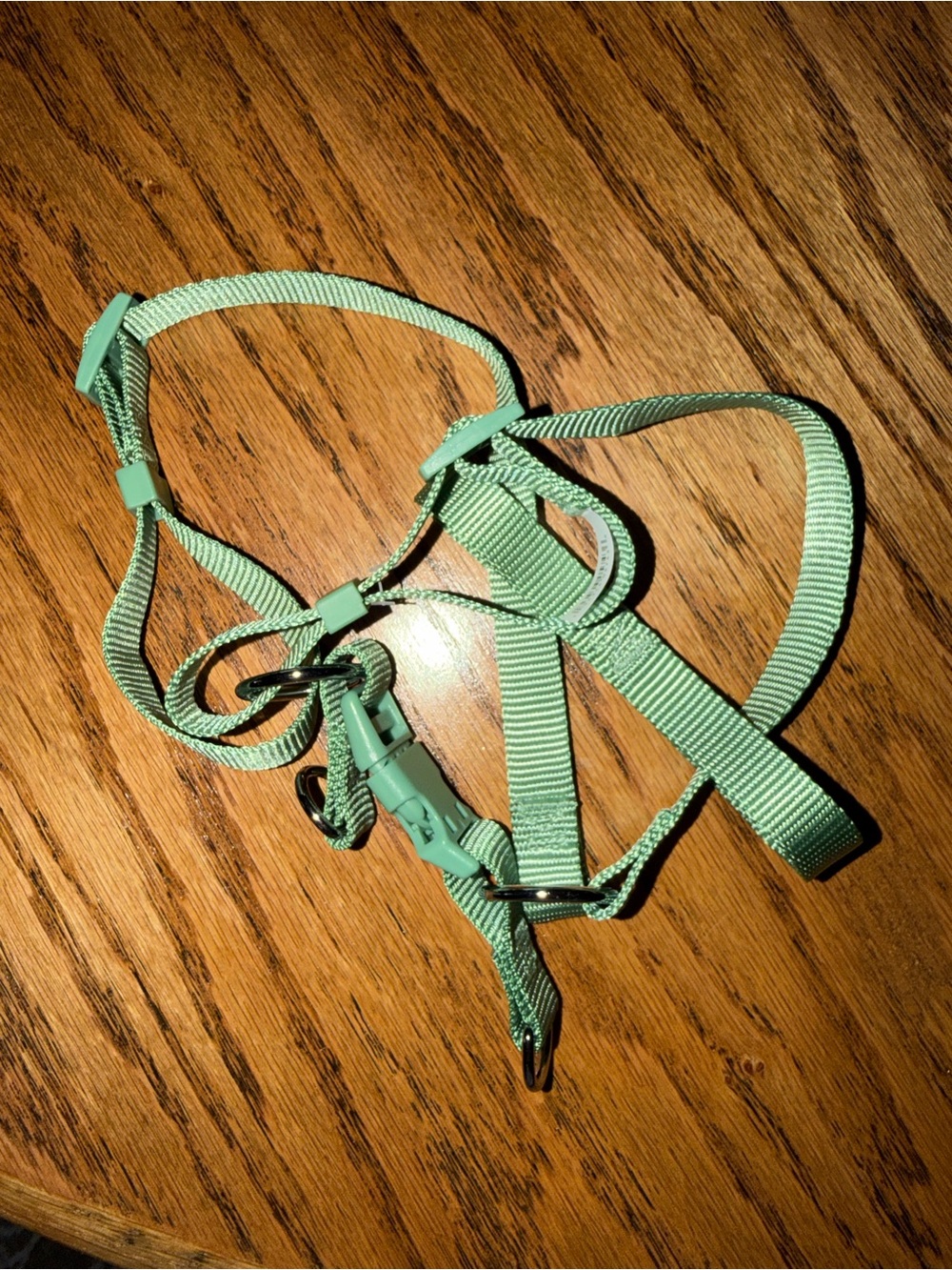 Medium Mint Green Adjustable Pet Harness
